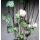 Ceropegia woodii - im 11/09er Kulturtopf