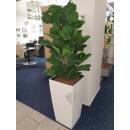 Geigenkastenfeige 120-130 cm künstlicher Ficus lyrata